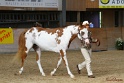 23-APHA SS_024